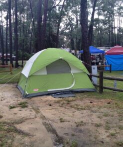 Coleman Sundome Camping Tent, 2/3/4/6 Person Dome Tent with Snag-Free Poles for Easy Setup in Under 10 Mins, Included Rainfly Blocks Wind & Rain, Tent for Camping, Festivals, Backyard, Sleepovers Palm Green 6 Person 42 81nuooN2VXL