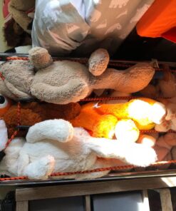 Kotap MABC-24 All- Purpose Adjustable Bungee Cords with Hooks, 24-Inch, Orange/Black, 10 Count 24 Inch 23 81nvlZANZiL