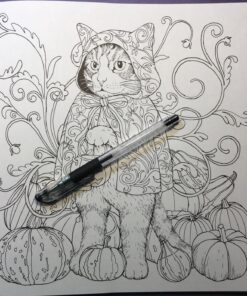 Mori ga kanaderu rhapsody. Rhapsody in the forest.(Coloring Book Japan Edition) 51 81nwBszj3vL