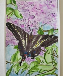 Strathmore Watercolor Postcard Pad, 4x6 inches, 15 Pack - Custom Greeting Cards for Weddings, Events, Birthdays 56 81nxvyqfVKL