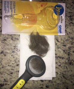 JW Petmate GripSoft Cat Brush, White & Blue, One Size 21 81nymaGmi0L