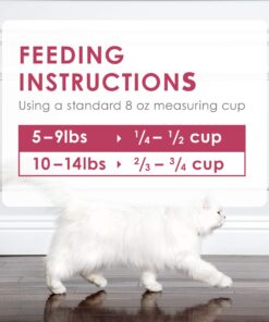Purina Fancy Feast Dry Cat Food Filet Mignon Flavor with Seafood and Shrimp - 7 lb. Bag Filet Mignon, Seafood & Shrimp 7.00 Pound (Pack of 1) 32 81o44kkCBHL