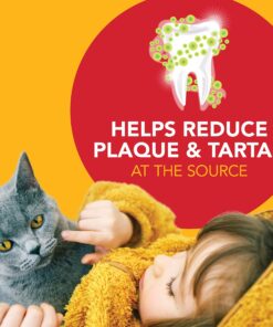 Petrodex Dental Care Kit for Cats, Cat Toothbrush and Toothpaste, Cleans Teeth and Fights Bad Breath, Reduces Plaque Tartar Formation, Malt Flavor, 2.5oz Toothpaste + Toothbrush 1 Count 18 81o9i d8KtL