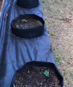 VIVOSUN 5-Pack 15 Gallon Plant Grow Bags, Heavy Duty Thickened Nonwoven Fabric Pots with Handles Black 15 Gallons 35 81oAblHueL