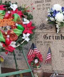 GDEALER 2 Pack LED Fairy Lights Halloween Battery Operated String Lights Waterproof 8 Modes Remote Control Color Changing Christmas Lights 60 LED 20 Feet Copper Wire Firefly Lights- Multicolor 53 81oDNgNHNL