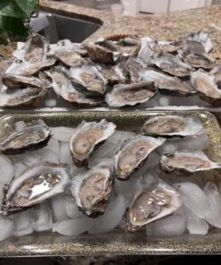 HiCoup Oyster Shucking Knife and Glove Kit - Clam and Oyster Knife Shucker Set with Stainless Steel Seafood Opener Tool, Wood Handle and Gloves 42 81oE8EZSeUL