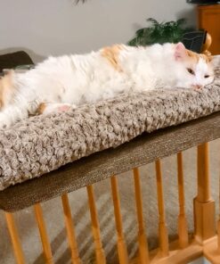 MidWest Homes for Pets Deluxe Dog Beds | Super Plush Dog & Cat Beds Ideal for Dog Crates | Machine Wash & Dryer Friendly, 1-Year Warranty Mocha 36-Inch 25 81oIb8QsRiL