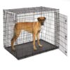 Midwest Homes for Pets SL54DD Ginormus Double Door Dog Crate for XXL for the Largest Dogs Breeds, Great Dane, Mastiff, St. Bernard, Black