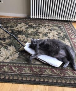 K&H Pet Products Outdoor Heated Dog Pad Tan Medium 19 X 24 Inches 50 81oPiNGYfBL 1