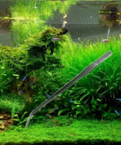 SAMYO Stainless Steel Aquarium Tank Plant Tools Aquascaping Kit Aquatic Plant Tweezers Scissor Substrate Spatula Tools Set - 5 Tools 14 81oRxDEPHL