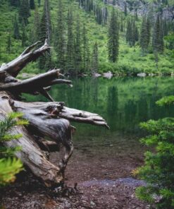 Canon EF-M 11-22mm f/4-5.6 STM Lens 31 81oW5BfXfAL