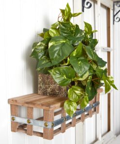 Nearly Natural 15in. Pothos Ledge Plant (Set on Foam) Silk Plant,Green 30 81oatX5CceL