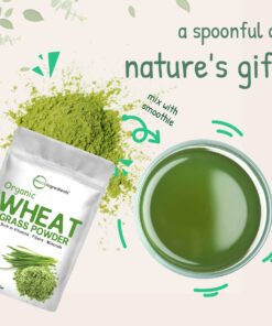Micro Ingredients Sustainably US Grown, Organic Wheat Grass Powder (100% Whole-Leaf), 16 Ounce, Rich in Immune Vitamins, Fibers and Minerals, Support Digestion Function, Vegan Friendly 16 Ounce (Pack of 1) 26 81oaw2DHs0L