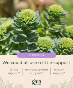 Gaia Herbs Adrenal Health Daily Support - with Ashwagandha, Holy Basil & Schisandra - Herbal Supplement to Help Maintain Healthy Energy and Stress Levels - 120 Liquid Phyto-Capsules (120 Count) 120 Count (Pack of 1) Standard Packaging 14 81obd3yJO1L