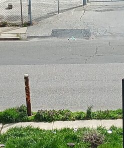 CVLIFE 4x32 Compact Rifle Scope Crosshair Optics Hunting Scope 20mm Picatinny 37 81od yp8bDL