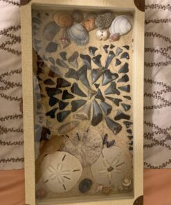 Novel Box Glass Top Linen Light Beige Metal Clasp Jewelry Display Case 14.75X8.25X2.1" + Custom NB Pouch Large: 14.75X8.25X2.1 19 81oeI7AAEYL