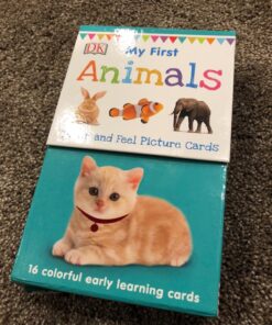 My First Touch and Feel Picture Cards: Animals (My First Board Books) 45 81oed5VibcL