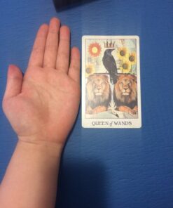 Crow Tarot 48 81ohuvirNL