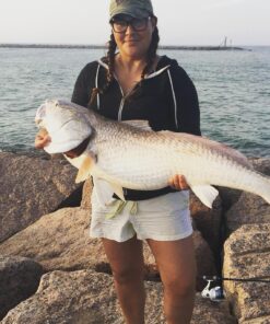 KastKing Centron & Centron Lite Spinning Reels, Size 500 is Perfect for Ice Fishing, Up to 17.5Lbs Max Drag, 5.2:1 Gear Ratio, Ultra Smooth Powerful, CNC Aluminum Spool, 9+1 BB Light Weight Centron Lite - Collapsible Handle Size 5000 42 81ojMTy BvL 1