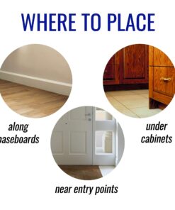 Terro T100-12 Liquid Ant Killer II, 1 oz, Pack of 1 24 81opBbs9zBL