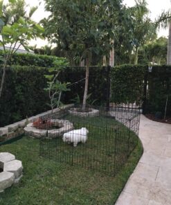 MidWest Homes for Pets Foldable Metal Dog Exercise Pen / Pet Playpen, 24'W x 24'H, 1-Year Manufacturer's Warranty Black No Door 24" H 40 81osb6XCjPL