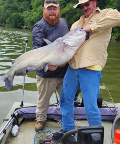 Seaguar Blue Label 100% Flourocarbon Fishing Line Leader, Freshwater, Multiple Sizes 60-Pounds/25-Yards 60lbs/25yds 24 81oxsI 0SL