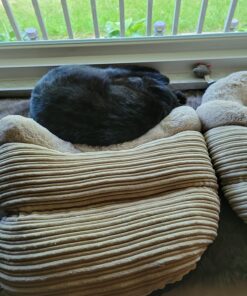 Purina Fancy Feast Dry Cat Food Filet Mignon Flavor with Seafood and Shrimp - 7 lb. Bag Filet Mignon, Seafood & Shrimp 7.00 Pound (Pack of 1) 38 81p1ToEfFRL