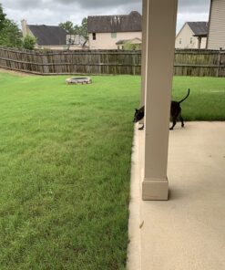 Scotts Turf Builder Weed & Feed3, Weed Killer Plus Lawn Fertilizer, Controls Dandelion and Clover, 15,000 sq. ft., 42.87 lbs. 15,000 sq. ft. Weed and Feed 28 81p26oEoYqL