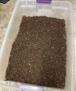 Ladbrooke Genuine Soil Block Maker - Mini 4 Hand Held - Most Popular Soil Blocking Tool, Made in England 41 81p2xmURQQL