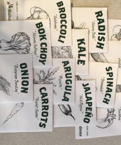 Certified Organic Vegetable Seeds for Planting Outdoors - 13 Seed Variety Pack of Veggie Heirloom Seeds Non GMO Organic Non Hybrid Open Pollinated for Home Garden - Tomato, Broccoli, Carrots, Fruit 39 81p4pd7JhML