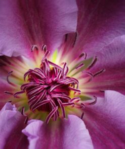 Meike MK-S-AF3B Auto Focus Extension Tube 10mm 16mm For Sony A7 A7M2 NEX 3 NEX 5 NEX 6 A6600 A5000 A6000 A6100 A6300 A6400 A6500 A9 54 81p8UTuMPnL