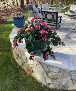 Nearly Natural Bougainvillea Basket Silk 1 Artificial Hanging Plant, 32 x 32 x 24, Green, Pink 59 81pDJPqFCL