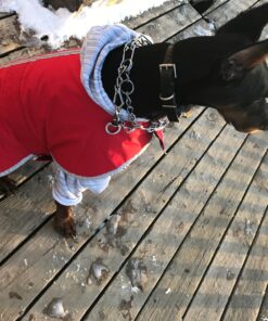 Zack & Zoey Nor'Easter Blanket Coat, X-Large, Red 1 39 81pFbp55uEL 1