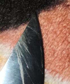 Spyderco Para Military 2 Signature Midnight Blue Knife with 3.42" CPM S110V Steel Blade and Durable G-10 Handle - PlainEdge - C81GPDBL2 42 81pGBpfcjiL