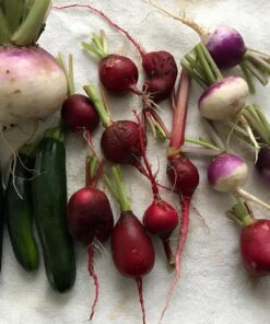 Certified Organic Vegetable Seeds for Planting Outdoors - 13 Seed Variety Pack of Veggie Heirloom Seeds Non GMO Organic Non Hybrid Open Pollinated for Home Garden - Tomato, Broccoli, Carrots, Fruit 47 81pGZWyYsnL