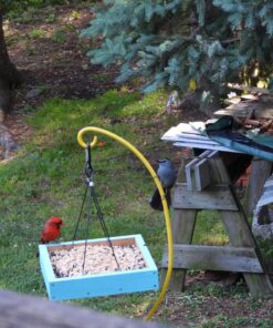 Nature's Way Bird Products CWF3 Cedar Platform Tray Bird Feeder 12" x 12" 12" x 12" 42 81pGy 0eMXL