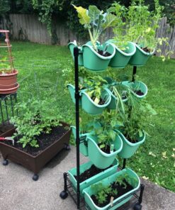 Watex Mobile Green Wall (Double Frame, Spring Bouquet), BPA Free Planters Double Frame 31 81pJpc6VC0L