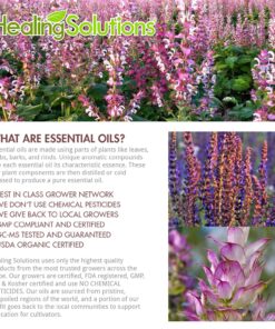 Healing Solutions 30ml Oils - Clary Sage Essential Oil - 1 Fluid Ounce 1.01 Fl Oz (Pack of 1) 7 81pOHzhFrHL