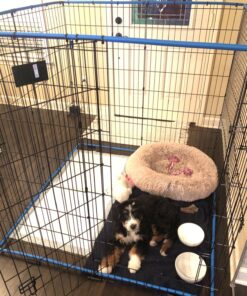 MidWest Homes for Pets Foldable Metal Dog Exercise Pen / Pet Playpen, Black w/ door, 24'W x 48'H, 1-Year Manufacturer's Warranty 48" H 43 81pTG781L