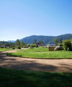 Panasonic LUMIX G85MK 4K Mirrorless Interchangeable Lens Camera Kit, 12-60mm Lens, Lexar U3 64GB Memory Card, 2 Spare Batteries, Charger, Bag and Accessory Bundle 38 81pYnSDPrbL