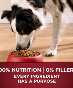 Purina ONE True Instinct with A Blend Of Real Turkey and Venison Dry Dog Food - 27.5 lb. Bag Turkey & Venison 27.50 Pound (Pack of 1) 29 81pYrjl7nIL