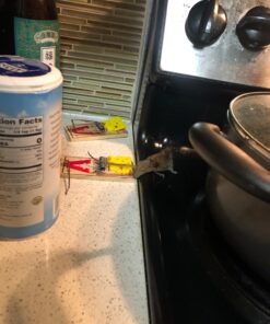 Victor 100061105 TRAP-4/PACK Easy Set Mouse Trap (4 Pack) 8 81pavTgNdL