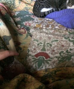 Greenland Home Antique Chic Authentic Patchwork Cotton Quilt Set, Multicolor, 3-Piece King/Cal King King/California King (3 Piece) 43 81pdr2ohGcL