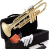 Mendini By Cecilio Bb Trumpet - Trumpets for Beginner or Advanced Student w/Case, Cloth, Oil, Gloves - Brass Musical Instruments For Kids & Adults Gold 46 81pimXBqtWL 2