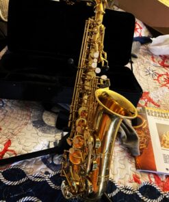 Eastar AS-Ⅱ Student Alto Saxophone E Flat Gold Lacquer Alto Beginner Sax Full Kit With Carrying Sax Case Mouthpiece Straps Reeds Stand Golden 38 81pnm1o7JDL