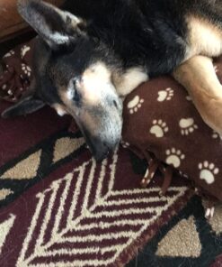 Nutramax Laboratories Crananidin Cranberry Extract Urinary Tract Health Supplement for Dogs, 75 Chewable Tablets 75 Count 30 81popmqgYLL