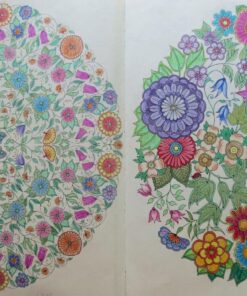 Secret Garden: An Inky Treasure Hunt and Coloring Book for Adults 105 81pu1 UqGRL