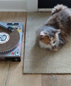 Suck UK Cat Scratcher ; Dj Cat Scratch Turntable ; Cardboard Cat House ; Cat Scratch Pad ; Cat Scratcher House & Cat Playhouse ; Novelty Interactive Cat Toys For Indoor Cats ; Funny Cat Accessories 30 81puMQ1sQXL