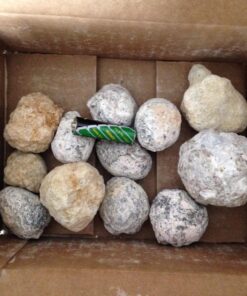Break Your Own Geodes - Set of 12 - STEM Toy and Classroom Learning 51 81pvlqnuXBL
