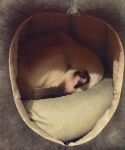 Armarkat Cat Bed, Laurel Green and Beige 56 81pwcooTc0L 1